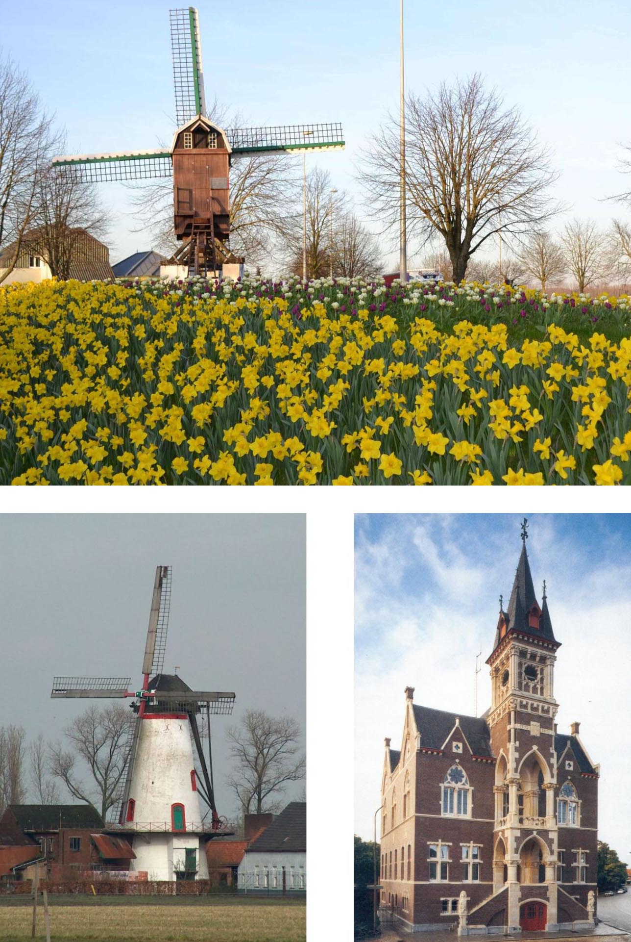 3_fotos_op_j_blad_